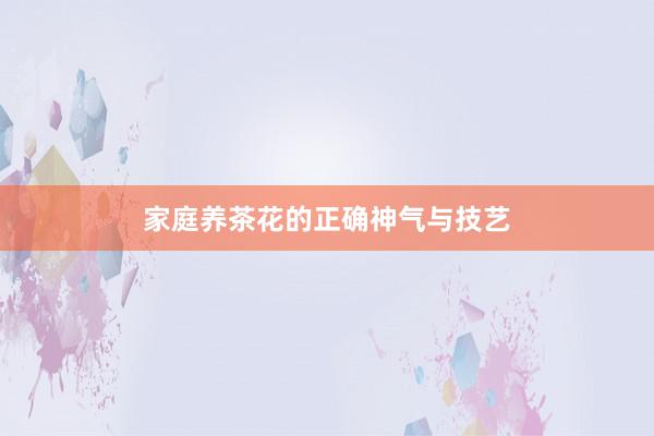 家庭养茶花的正确神气与技艺