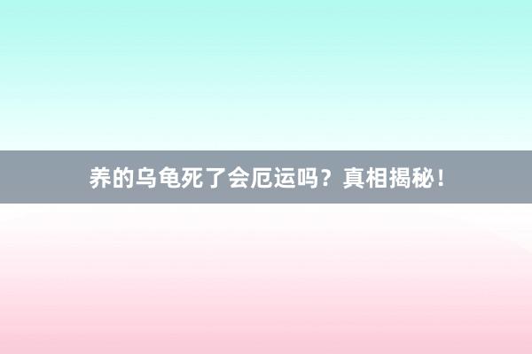 养的乌龟死了会厄运吗？真相揭秘！